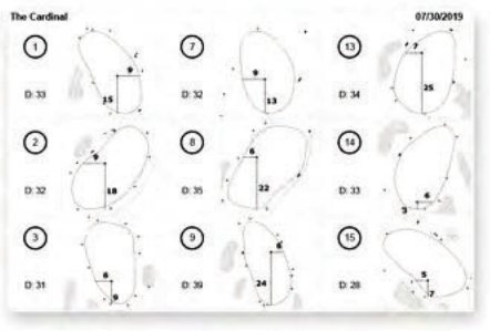 The Cardinal printed pin sheet
